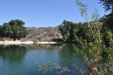 Enlarge photo 8