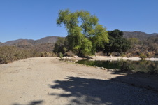 Enlarge photo 14