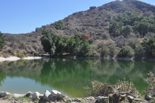 Enlarge photo 17