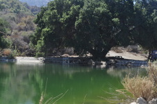 Enlarge photo 19