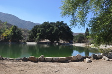 Enlarge photo 20