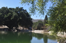 Enlarge photo 21