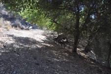 Enlarge photo 28