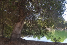 Enlarge photo 29