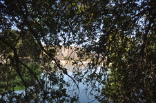 Enlarge photo 30