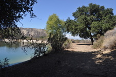 Enlarge photo 31