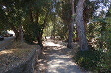 Enlarge photo 2