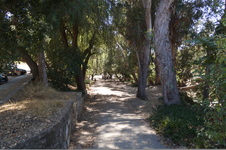 Enlarge photo 18