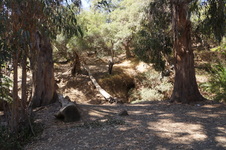Enlarge photo 4