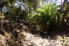 Enlarge photo 9