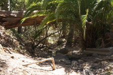Enlarge photo 10