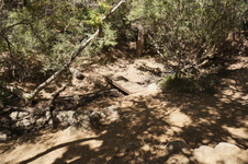 Enlarge photo 13