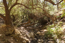 Enlarge photo 15