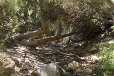 Enlarge photo 16