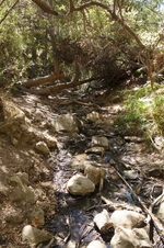 Enlarge photo 17
