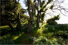 Enlarge photo 184