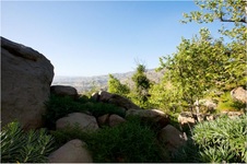 Enlarge photo 185