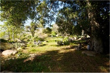Enlarge photo 183