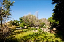Enlarge photo 188