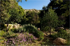 Enlarge photo 193