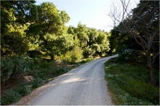 Enlarge photo 198