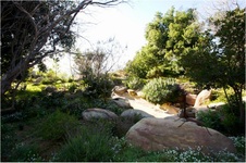 Enlarge photo 196
