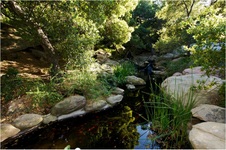 Enlarge photo 192