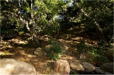 Enlarge photo 203