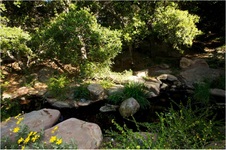 Enlarge photo 204
