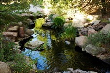 Enlarge photo 199