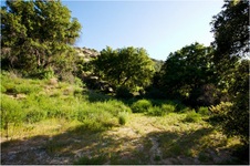 Enlarge photo 200