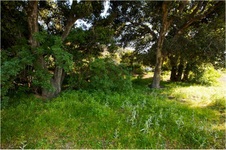 Enlarge photo 206