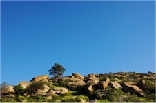 Enlarge photo 207