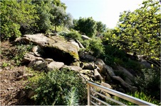 Enlarge photo 159