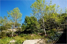 Enlarge photo 153