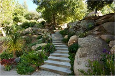 Enlarge photo 164