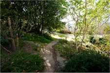 Enlarge photo 165