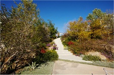 Enlarge photo 161