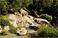 Enlarge photo 173