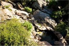 Enlarge photo 168
