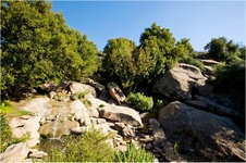 Enlarge photo 170