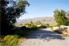 Enlarge photo 175