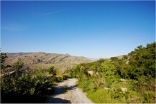 Enlarge photo 169