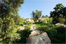 Enlarge photo 171