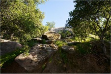 Enlarge photo 172