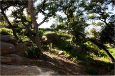 Enlarge photo 181