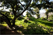 Enlarge photo 179
