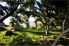 Enlarge photo 178
