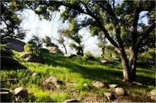Enlarge photo 180