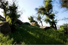 Enlarge photo 182